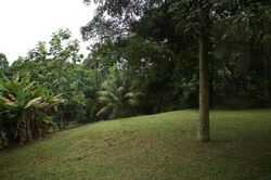 Binjai Park (D21), Detached #479812621